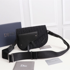 Christian Dior Saddle Bags